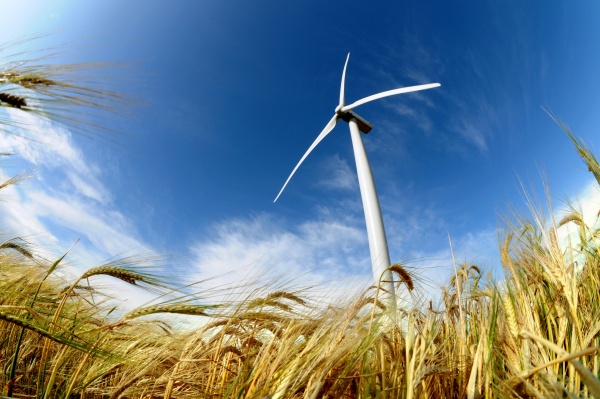 2000MW！这家公司获风电项目建设指标